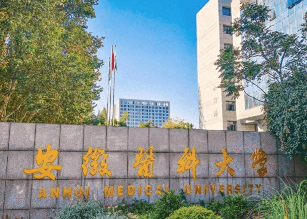 中科大合并安徽医科大学遭到拒绝,选择了并省医自建医学院 安徽大学医科大学第二附属医院_安徽大学医科专业_安徽医科大学
