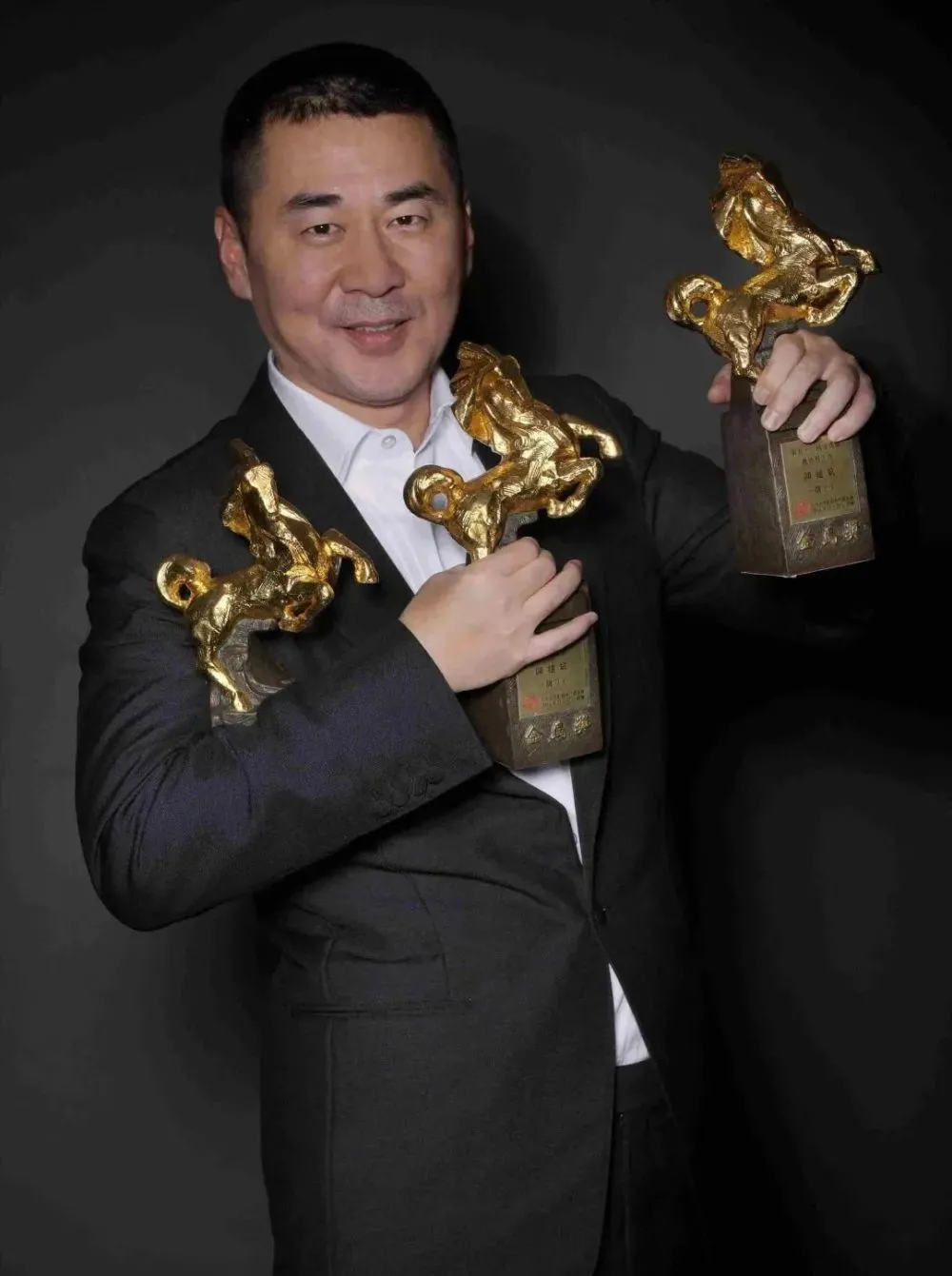 台湾金马奖,这次真的要凉了 入围金马奖的条件_金马入围_入围金马奖是什么意思