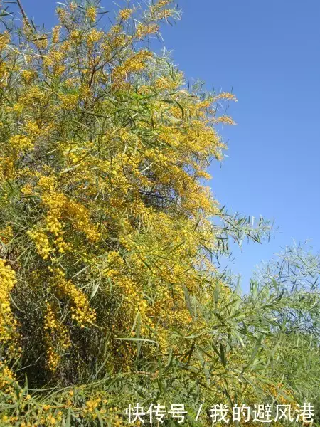 家中孩子是此时辰出生,生来带福携财,不愁吃穿 财福广场金鼎湾_财带福_中财集团财福在线登录