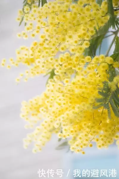 家中孩子是此时辰出生,生来带福携财,不愁吃穿 财带福_财福广场金鼎湾_中财集团财福在线登录