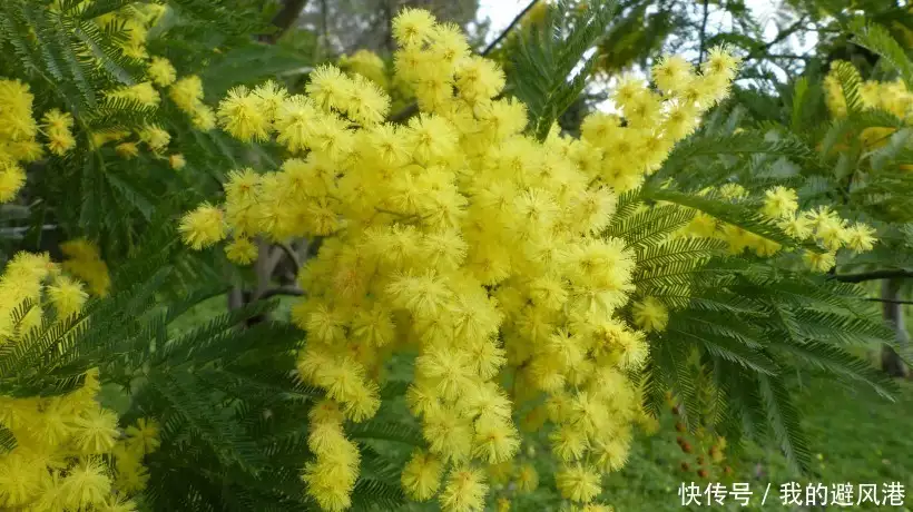 家中孩子是此时辰出生,生来带福携财,不愁吃穿 中财集团财福在线登录_财福广场金鼎湾_财带福