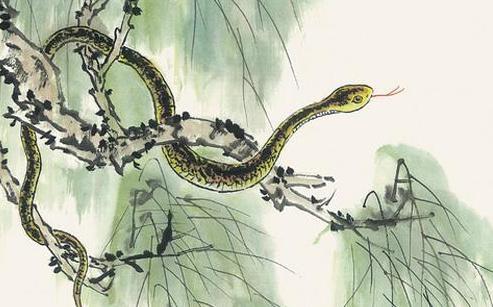 丁巳年是什么意思 丁巳年是哪年 蛇年是什么年号_蛇年是哪年_蛇年分别是