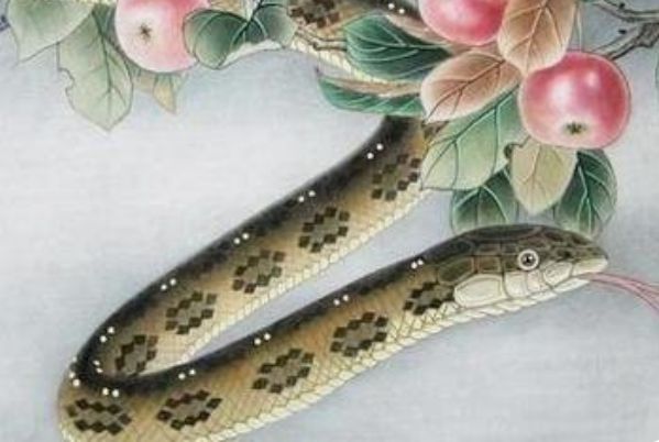 丁巳年是什么意思 丁巳年是哪年 蛇年是什么年号_蛇年是哪年_蛇年分别是