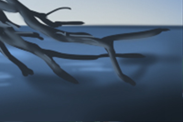 出生二月属鸡人出生月的命运如何 生肖鸡出生月_属鸡人出生月的命运_属鸡的出生月