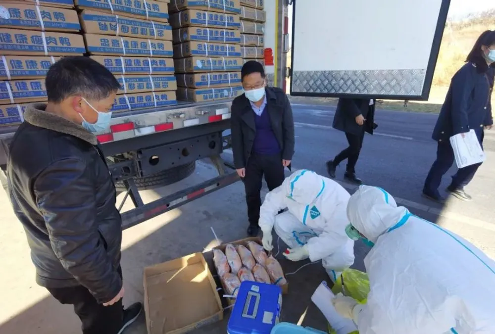 山东蓬莱市市场监管局加强冷链食品监管迅速开展摸排建档工作 监管食品安全的部门_监管食品安全的部门叫什么_食品监管