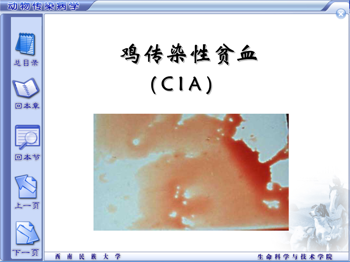 吃什么补铁_吃补铁的药大便是黑色的正常吗_吃补铁的药会拉肚子吗