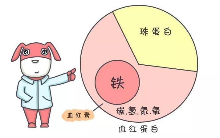 吃补铁的药会拉肚子吗_吃什么补铁_吃补铁的药大便是黑色的正常吗