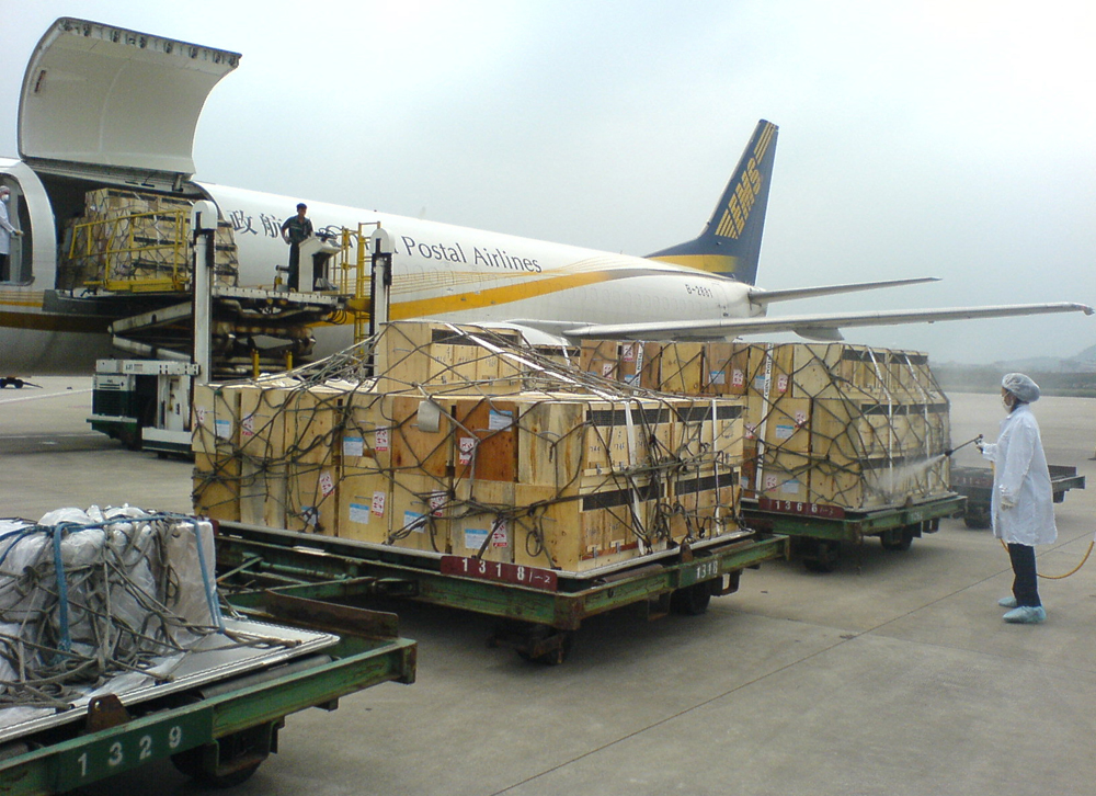 航空运输业行业分析_航空运输业_航空运输业五行属什么