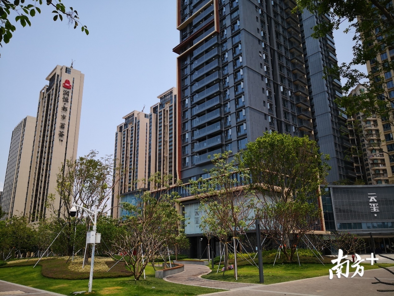 深圳楼市有多火爆?一出“冰与火之歌”,个中疯狂 宝中片区润恒都市茗荟