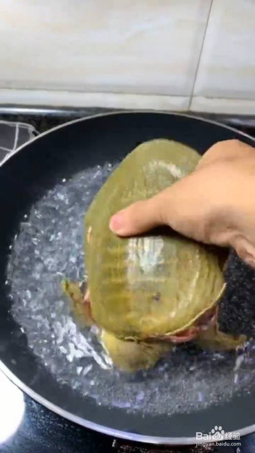 甲鱼炖羊肉的做法是什么 如何炖羊肉_炖羊肉多长时间才能软烂_炖羊肉三放三不放