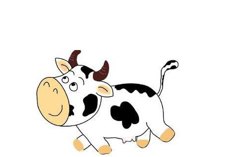 1973年属什么生肖属相 1973年属相是什么生肖 1973年属什么生肖属相 1973年属相是什么生肖,生肖属相