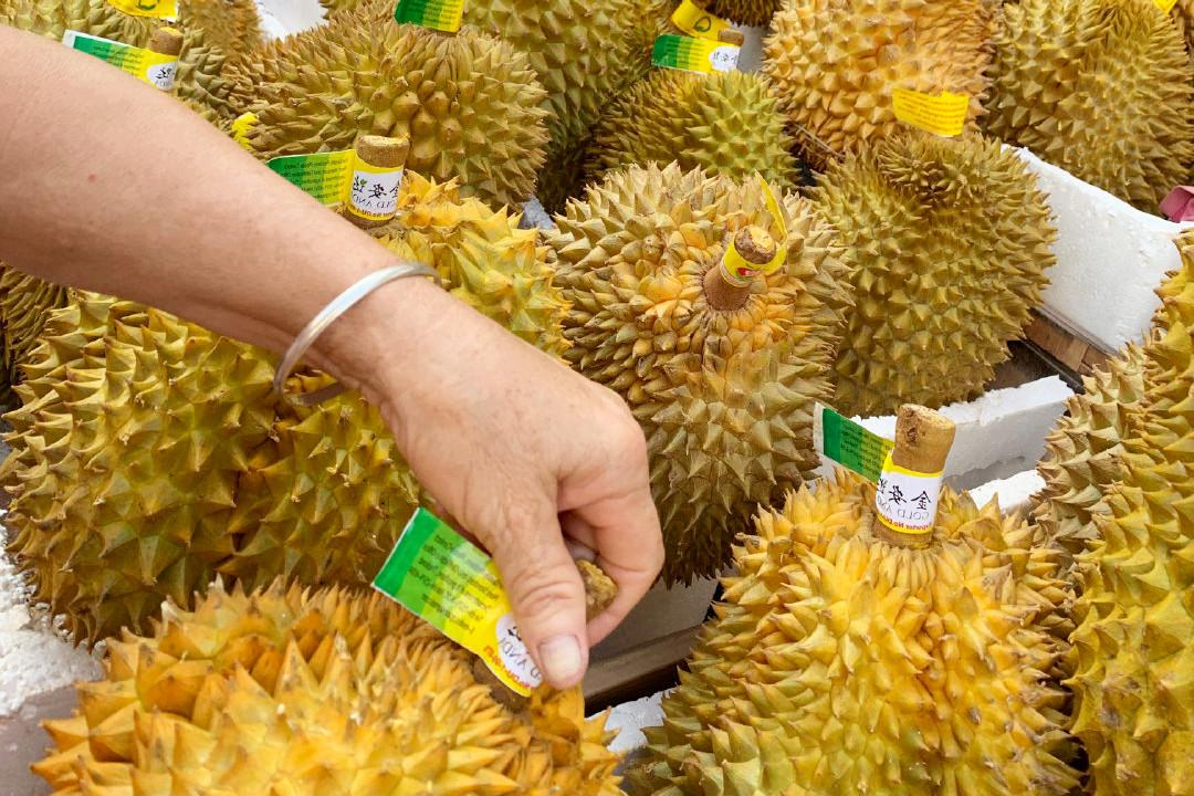 榴莲肉放冰箱可以放几天_榴莲肉_榴莲肉可以冷冻保存吗