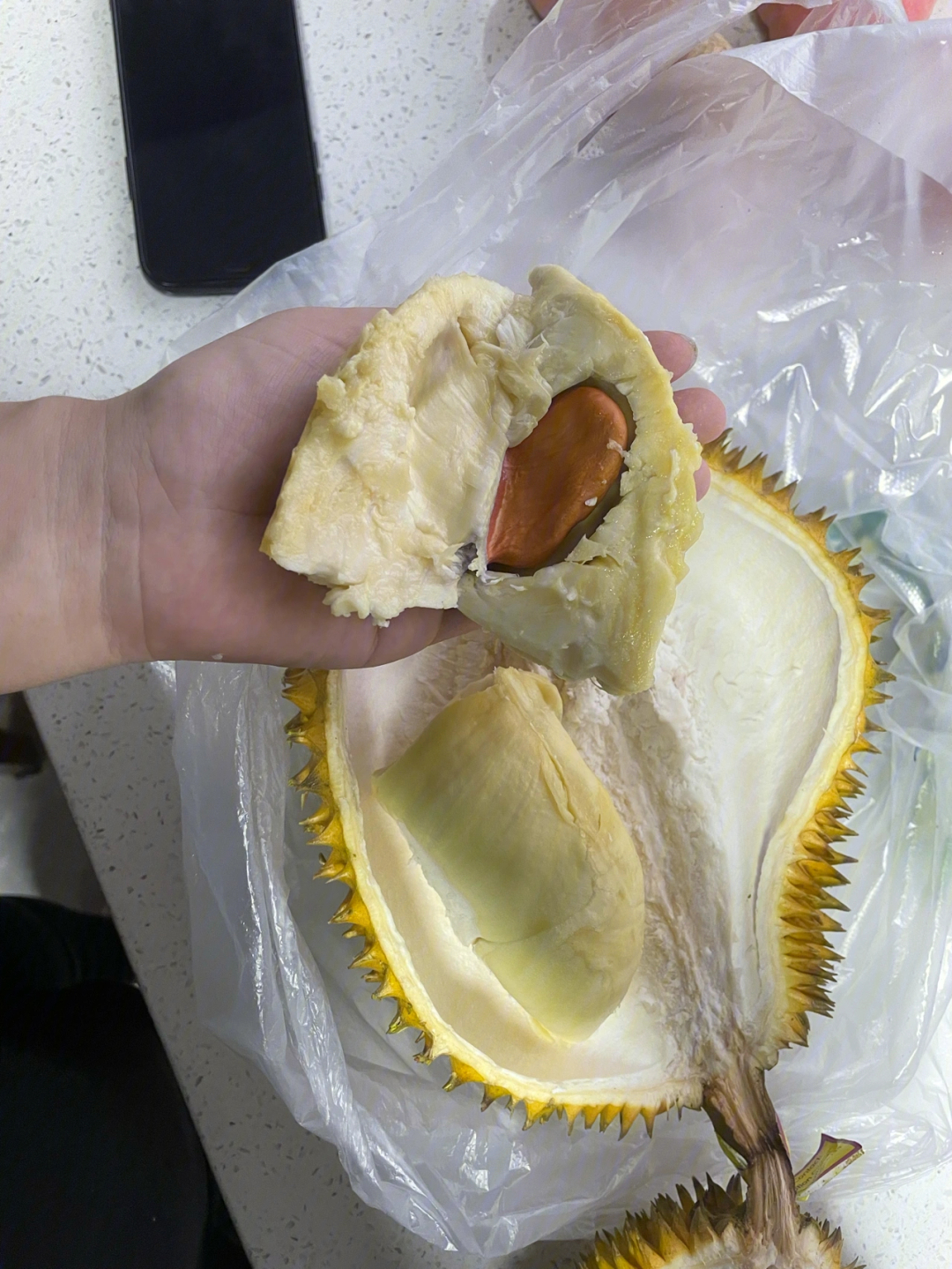 榴莲肉可以冷冻保存吗_榴莲肉放冰箱可以放几天_榴莲肉