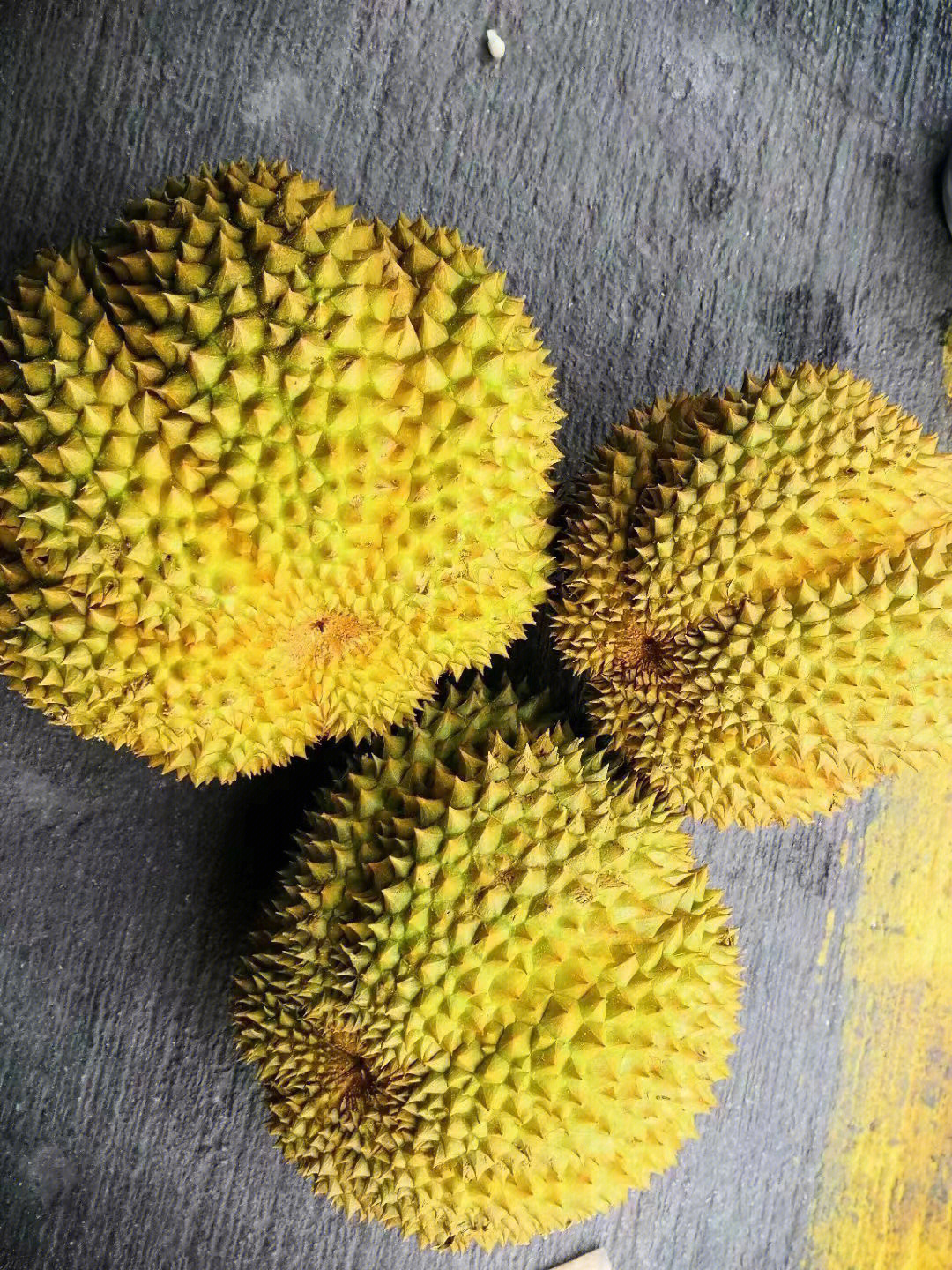 榴莲肉_榴莲肉可以冷冻保存吗_榴莲肉放冰箱可以放几天