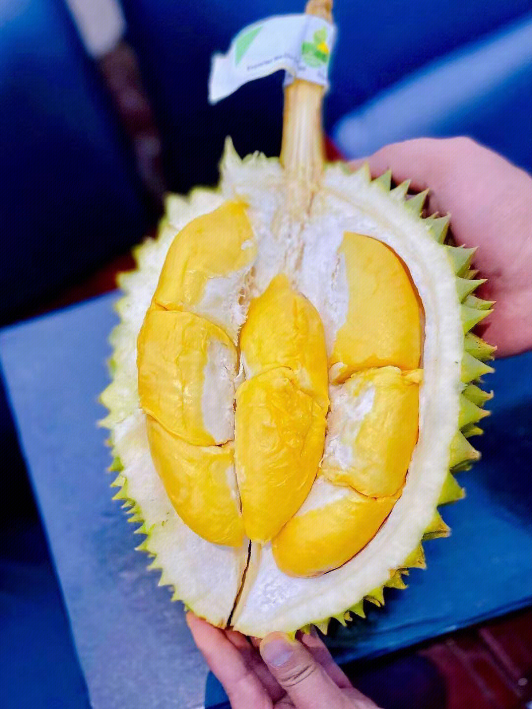 榴莲肉_榴莲肉放冰箱可以放几天_榴莲肉可以冷冻保存吗