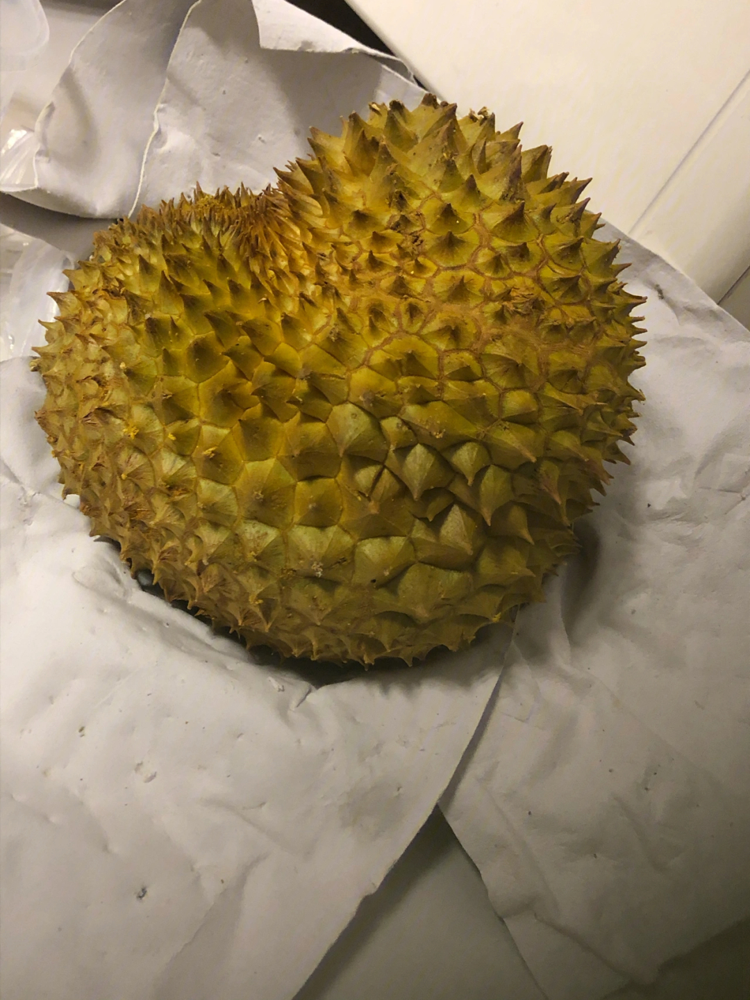 榴莲肉_榴莲肉放冰箱可以放几天_榴莲肉可以冷冻保存吗