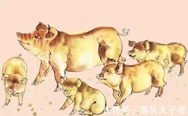 财带福_淮安钵池小区财福房产_财福广场金鼎湾