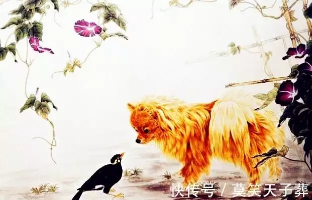 财福广场金鼎湾_淮安钵池小区财福房产_财带福