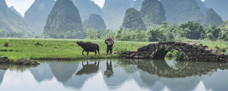 属牛的年份 牛年是哪几年 属牛的年份 牛年是哪几年