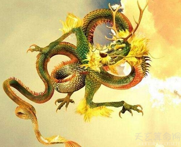 属龙的今年多大年龄 运势怎么样 属龙今年多少岁_属龙今年的运气和财运怎么样_属龙的今年多少岁