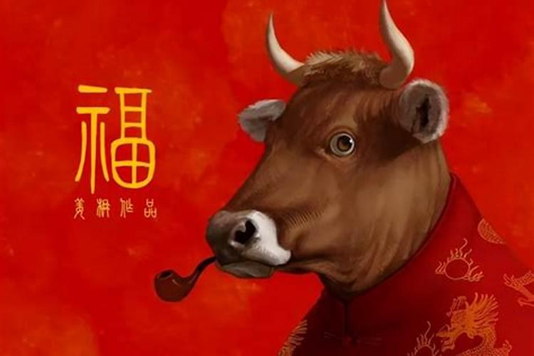 牛年是哪年 牛年也是什么年_牛年是年份_牛年是什么年