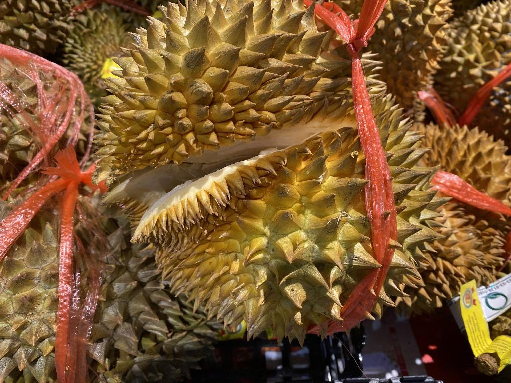 榴莲裂开就是好的?教你6招挑“母”榴莲,皮薄肉厚,一挑一个准 榴莲肉有点硬怎么变软_榴莲肉怎么保存_榴莲肉