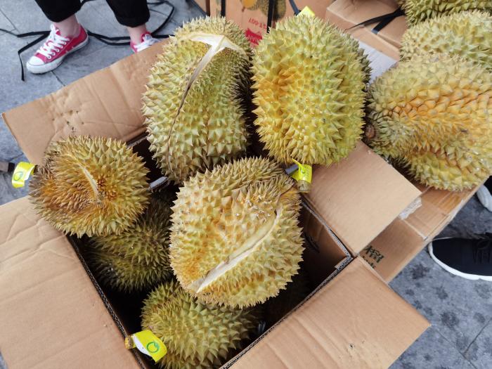 买榴莲,别挑开裂的,教你6招,挑出“母”榴莲,皮薄肉厚香又甜 榴莲肉_榴莲肉有点硬怎么变软_榴莲肉放冰箱可以放几天