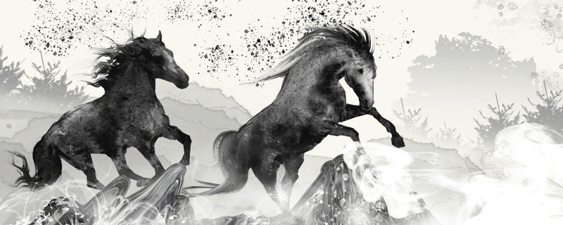 属猪一生的命运详解 属猪一生的命运怎么样 属马人的命运 属马的人一生命运如何