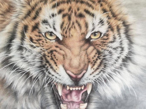 1998年属虎女2023年运势及运程,25岁属虎人2023全年每月运势女性如何 1998年属虎女2023年运势及运程,25岁属虎人2023全年每月运势女性如何