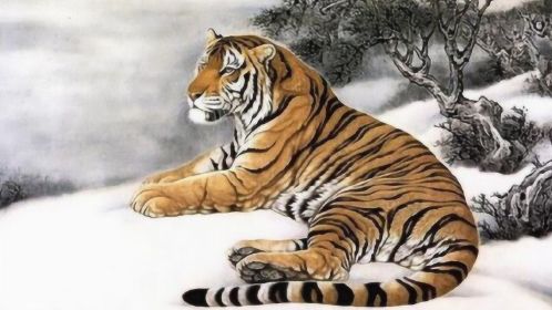 1998年属虎女2023年运势及运程,25岁属虎人2023全年每月运势女性如何 98年属什么的生肖_生肖属年表_生肖属年龄对照表