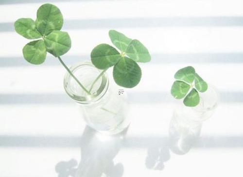 97年属牛男和98年属虎女相配吗,属牛男和什么属相最配 9890-.97年属牛男和98年属虎女相配吗,属牛男和什么属相最配