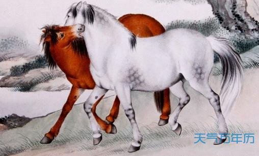 属马人一生的命运怎么样 属马的命运_属相马的命运_属马的命理