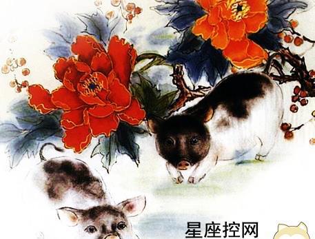 1998年属虎男正缘是谁 正缘出现的时间 2024是什么生肖属年_生肖属年份_98年属什么的生肖