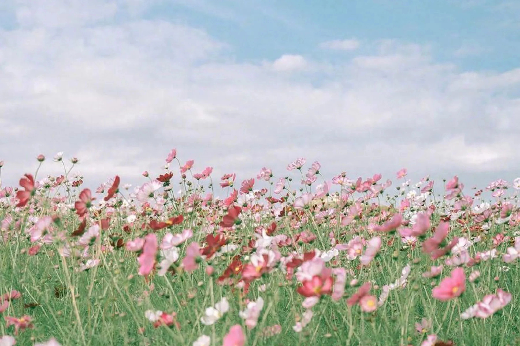 2023年九月份:白羊座九月整体运势,好事发生以及注意事项 白羊运势座2021年运势_白羊运势座星座星_白羊座运势