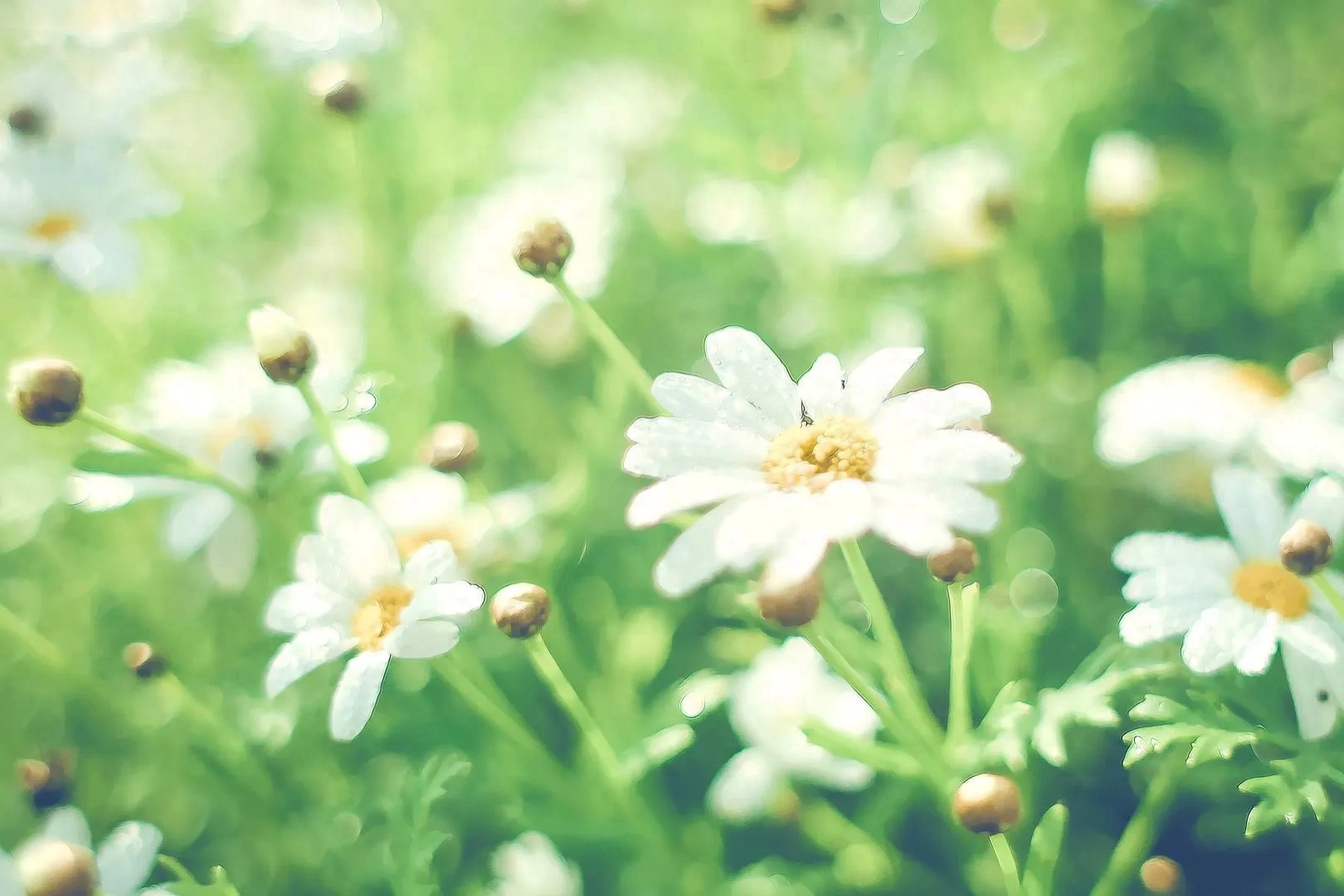 2023年九月份:白羊座九月整体运势,好事发生以及注意事项 白羊运势座2021年运势_白羊座运势_白羊运势座星座星