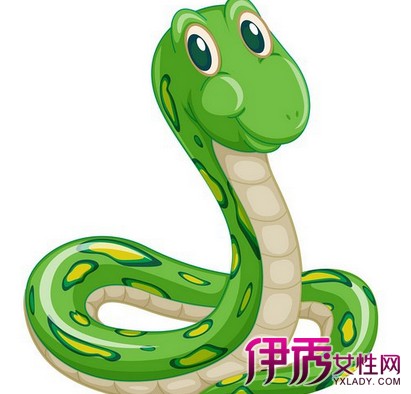 【图】胆大心细的生肖是哪个? 详解其性格特点 大胆细心是什么生肖_胆大心细是什么生肖_生肖细胆大心是什么动物