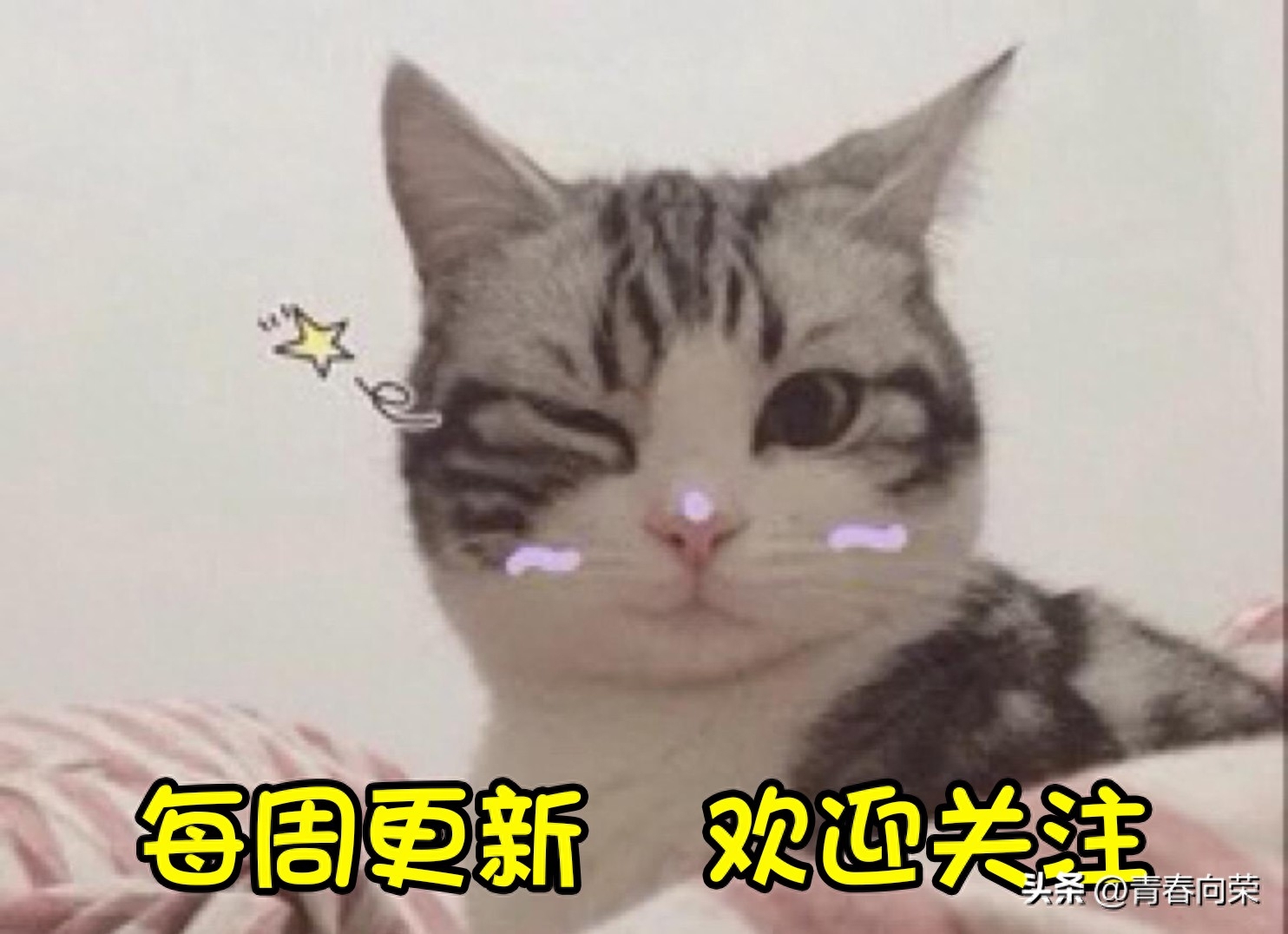 均分9.6!五部顶级动画美剧,每一部都值得五星推荐 美剧网_美剧_美剧英雄