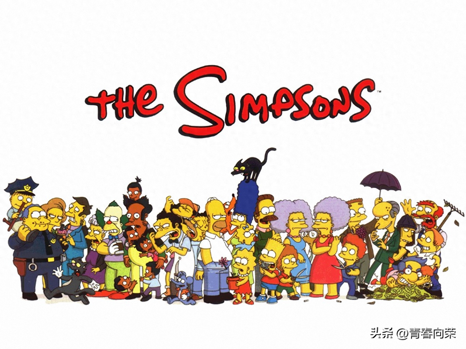 均分9.6!五部顶级动画美剧,每一部都值得五星推荐 美剧英雄_美剧网_美剧