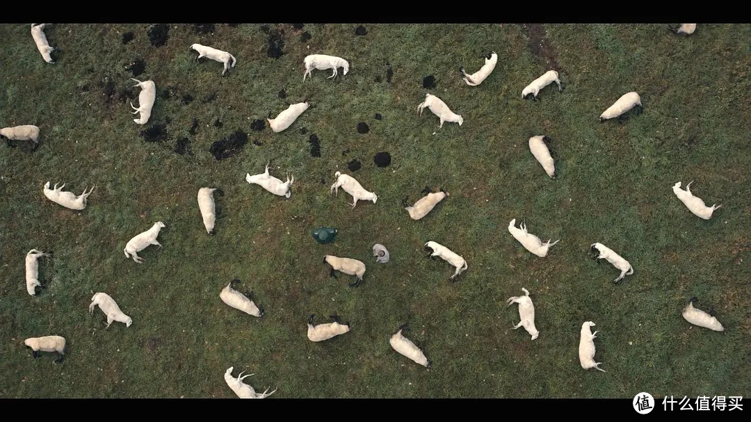 10部高分冷门科幻剧集推荐—炎炎夏日,来部科幻剧清凉一夏 美剧_美剧天堂_美剧网