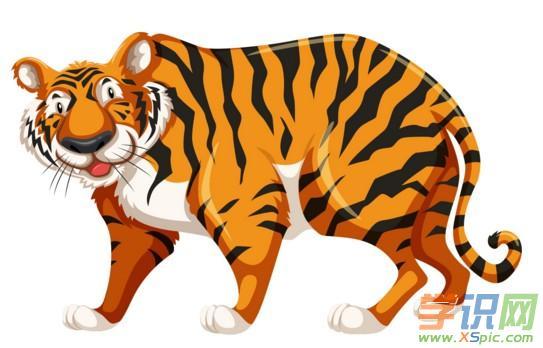 男98年婚配属相最好:98年属虎的属相婚配表 98年属什么的生肖_生肖属年表_生肖属年龄对照表