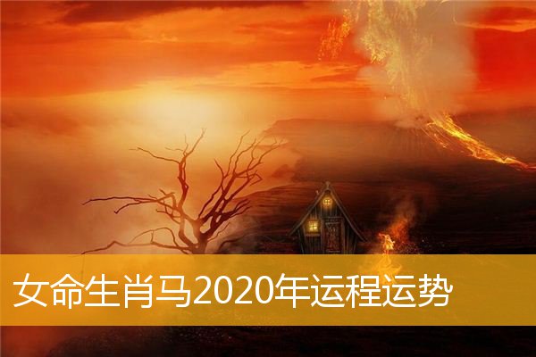 大忌命牛属本年运势如何_本命年的大忌属牛_牛本命年忌属相