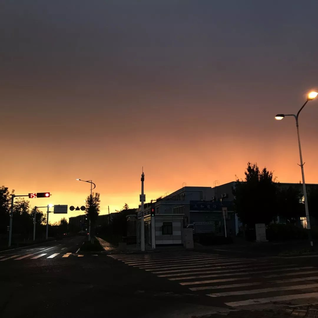 维族姑娘努尔菲娅:远不止美丽 维族姑娘_维族姑娘简谱_歌曲维族姑娘