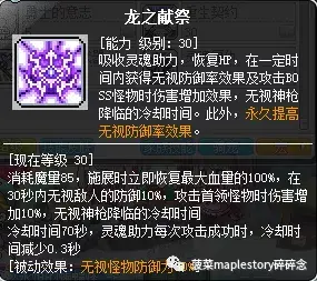 冒险岛战士技能加点_开拓者冒险战士加点_冒险尖兵技能加点