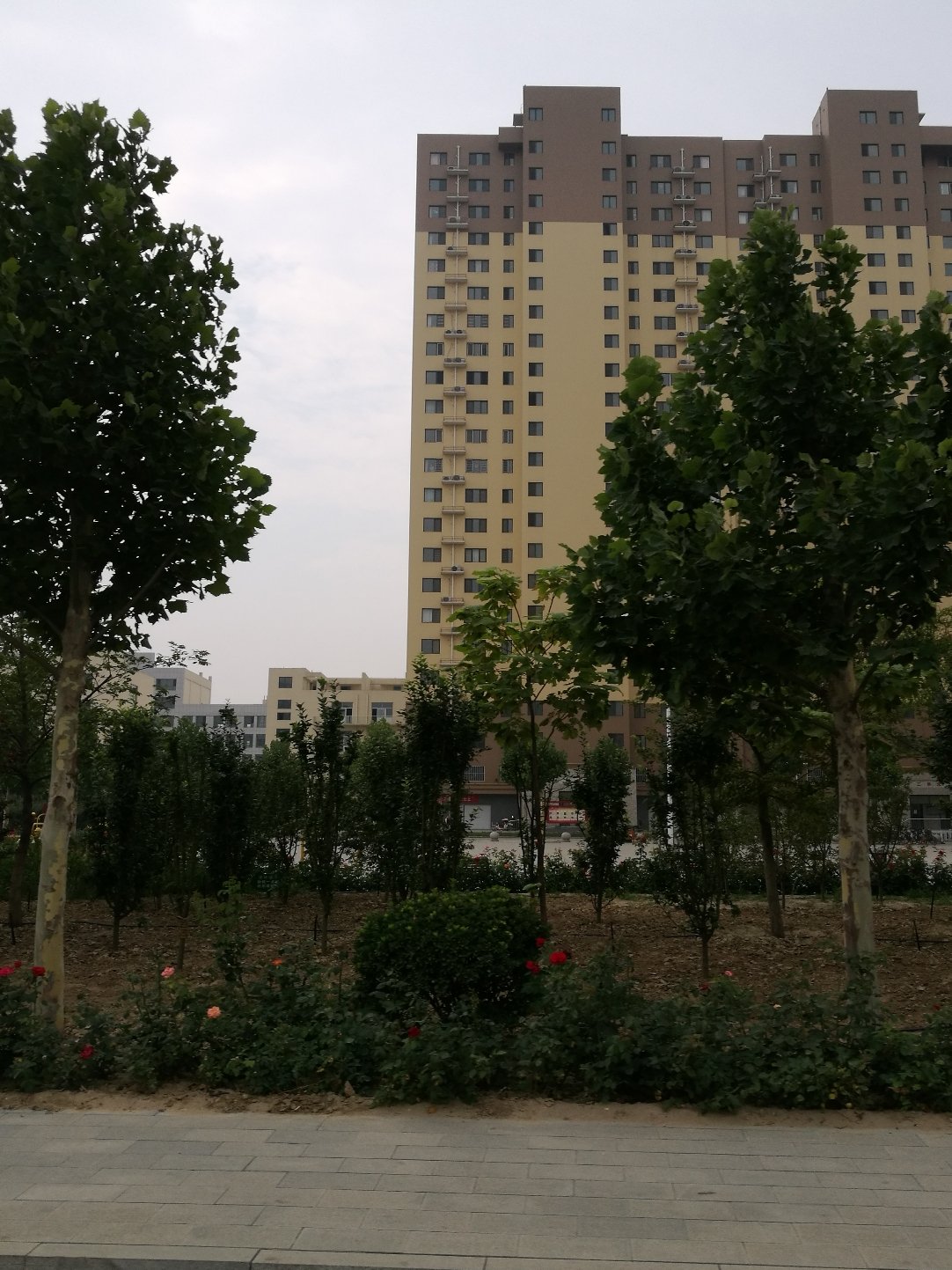 任丘市属于河北省哪个市 沧州市任丘_任丘市_河北任丘是市还是县