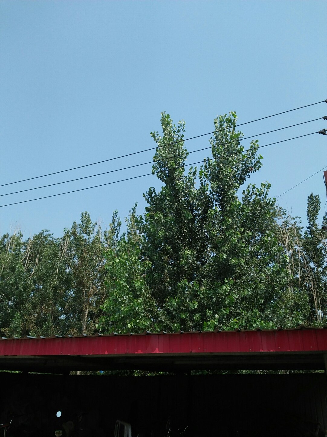 任丘市属于河北省哪个市 任丘市_沧州市任丘_河北任丘是市还是县