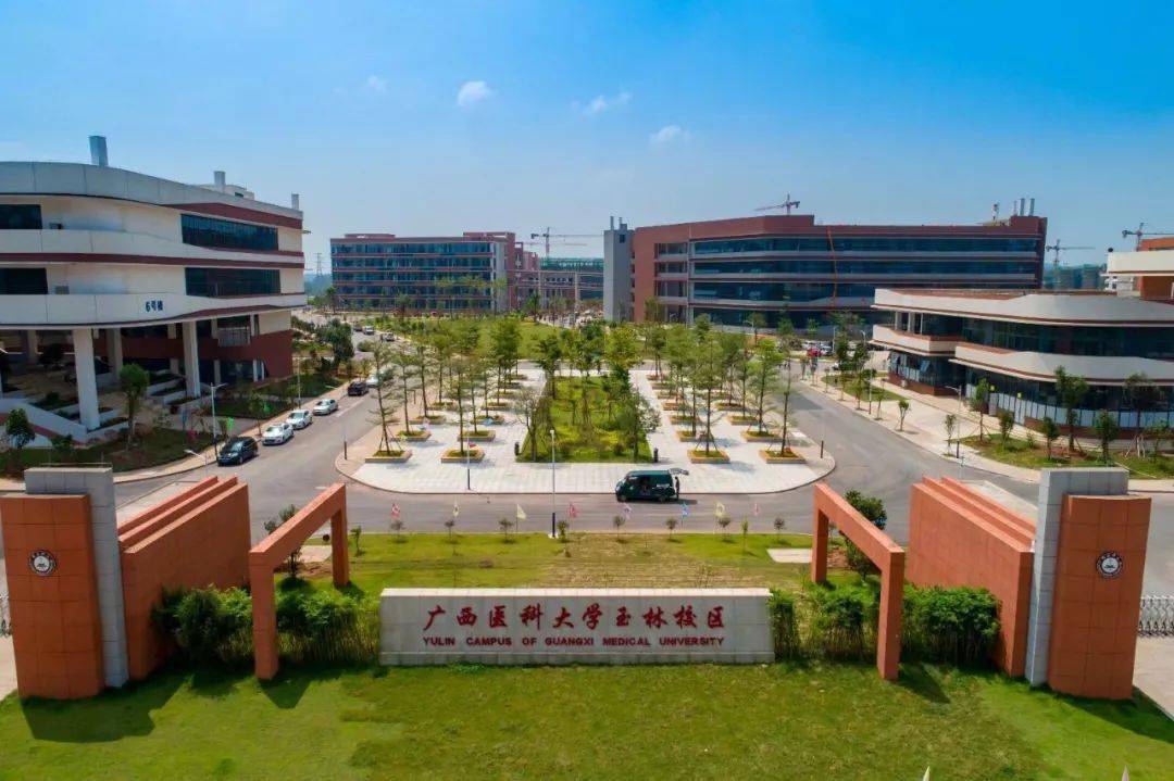 广西医科大学研究生导师简介-韦霄 广西医科大学_广西大学医科大学第一附属医院_广西大学医科大学第二附属医院