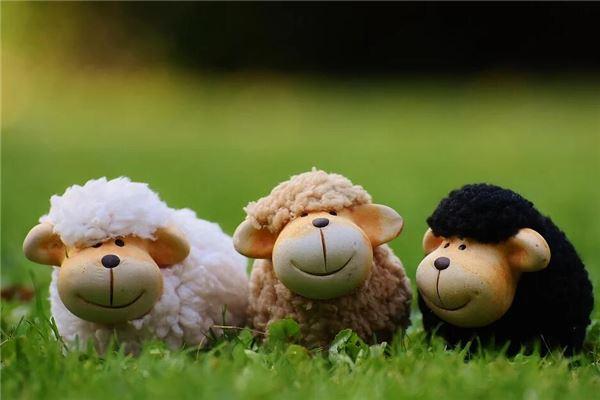 属羊人2023年运势运程每月运,2023年属羊人的全年每月运势及运程 属羊人全年运势_属羊人年全年运势_2021羊人的全年运势