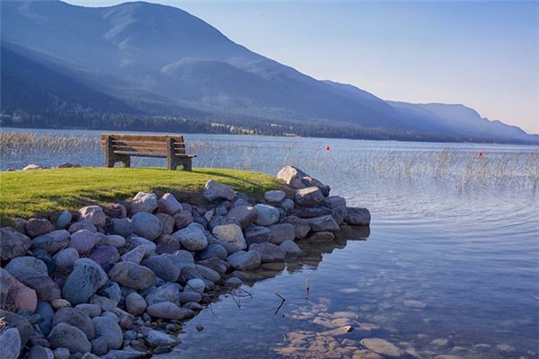 属羊人未来十年运势 属羊人羊年运势_属羊人年全年运势_属羊人全年运势