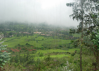 2023郑州财经学院录取分数线汇总】郑州财经学院2021 郑州财经学院