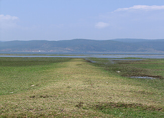 2023郑州财经学院录取分数线汇总】郑州财经学院2021 郑州财经学院